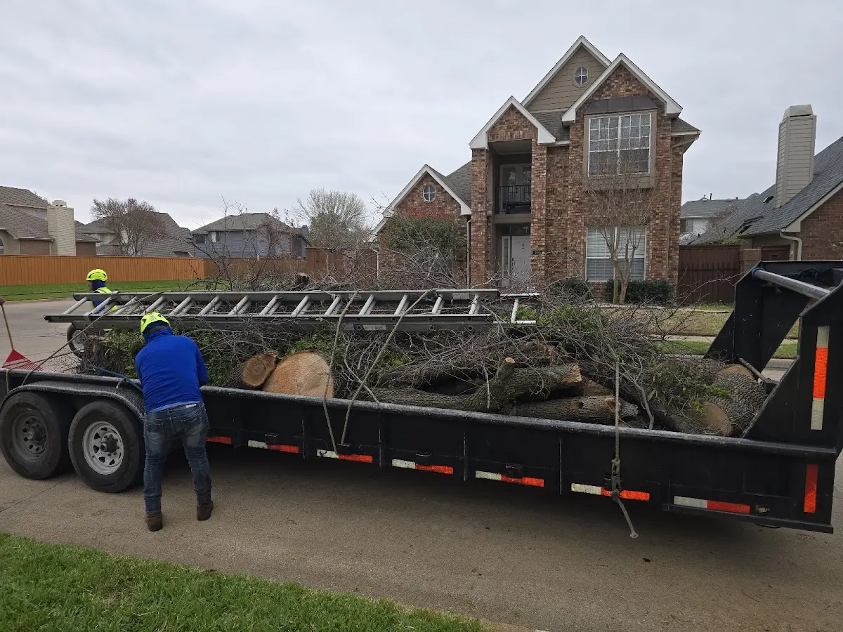Expert Crown Reduction with proper safety equipment in Blue River
